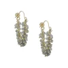 CATHERINE WEITZMAN - Fringe Hoop Earrings in Labradorite