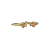 N + A - Open Cluster Diamond Ring