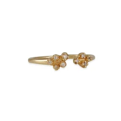 N + A - Open Cluster Diamond Ring