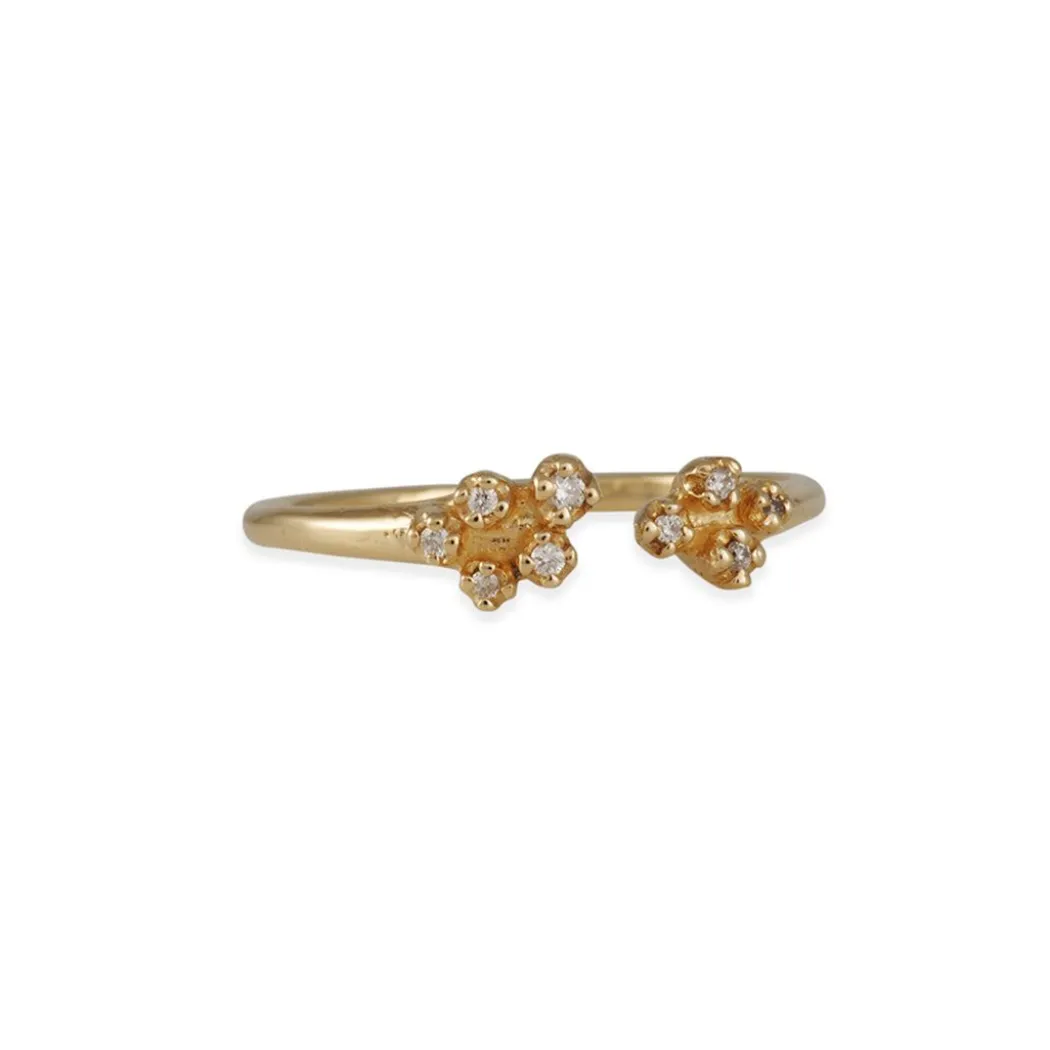 N + A - Open Cluster Diamond Ring