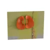 Sibilia - Papel Earrings in Papaya